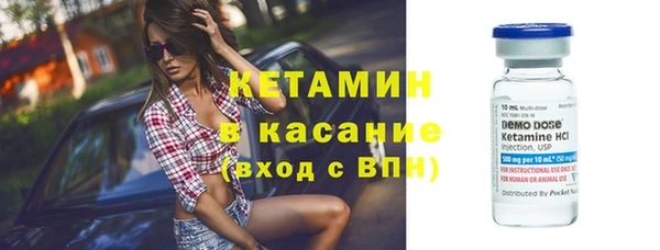 сатива Сураж