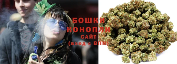 сатива Сураж